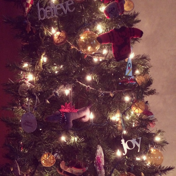 homemade citrus ornaments