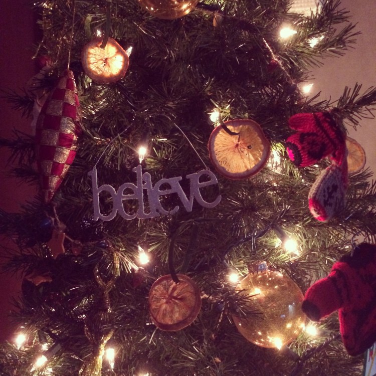 homemade citrus ornaments