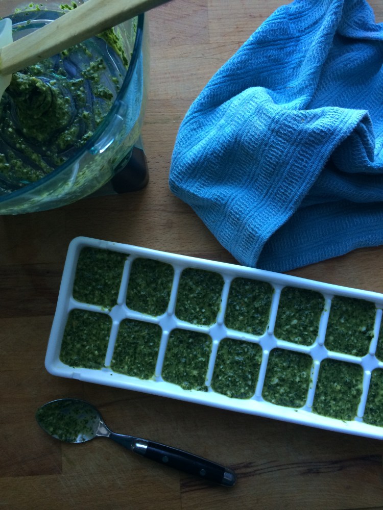 How to freeze basil pesto