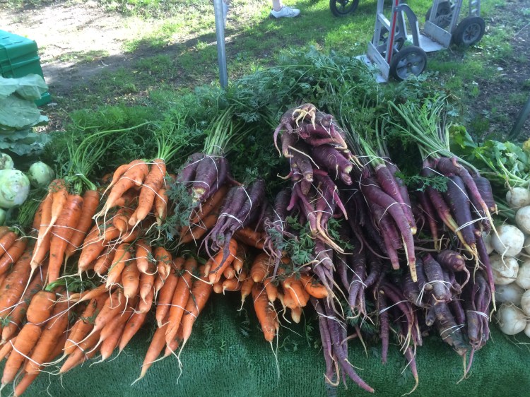 maple and harissa carrots 7